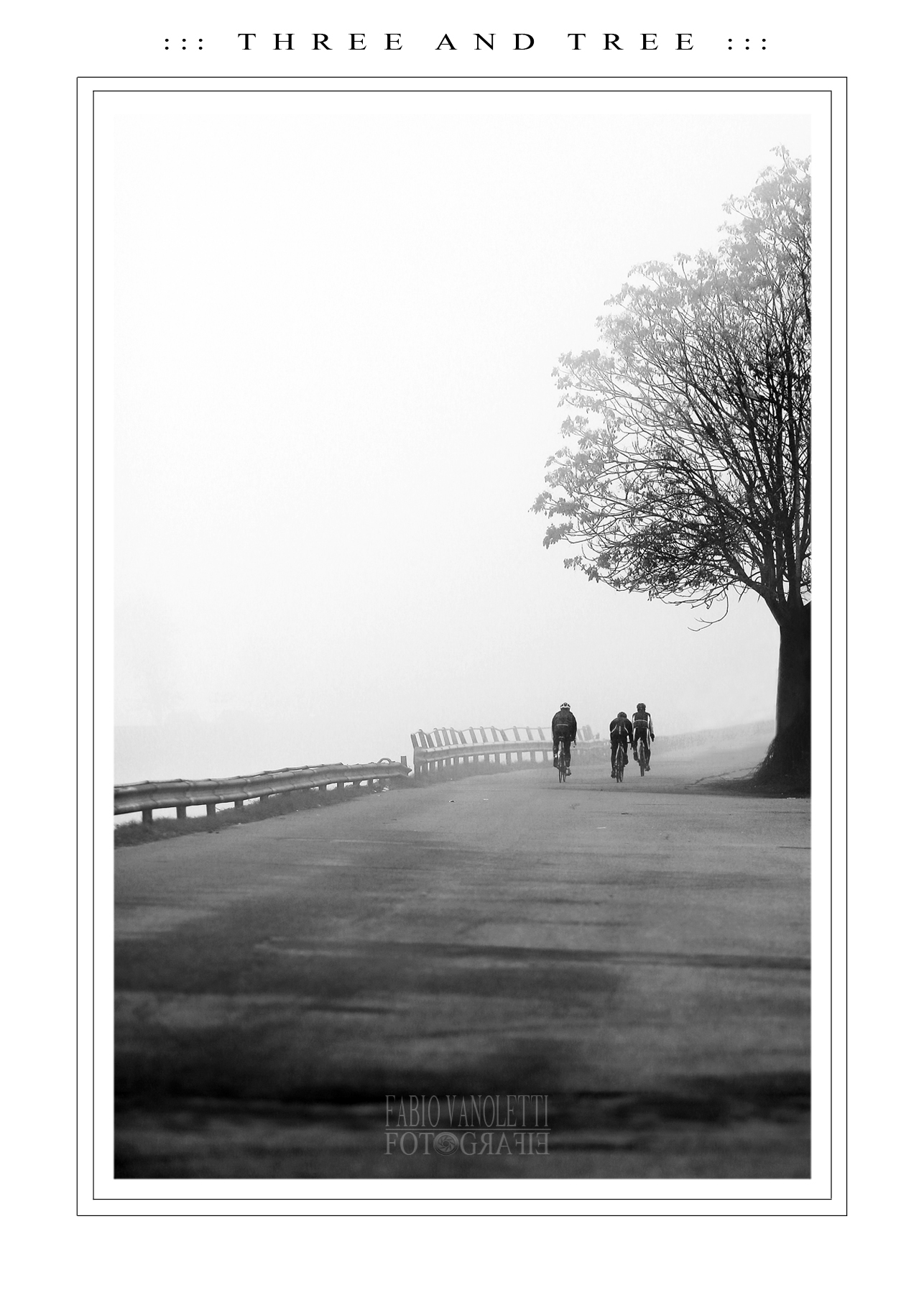 ::: T H R E E  A N D  T R E E :::