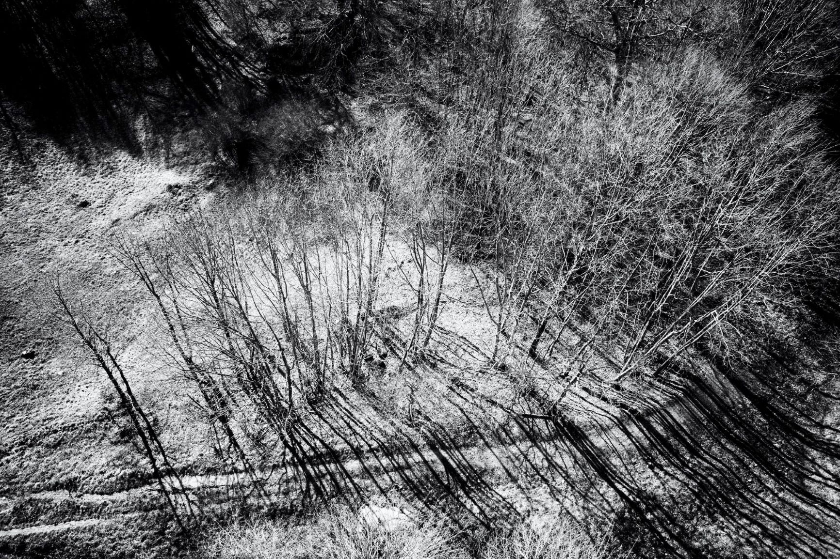 Santuario La Verna - Arezzo