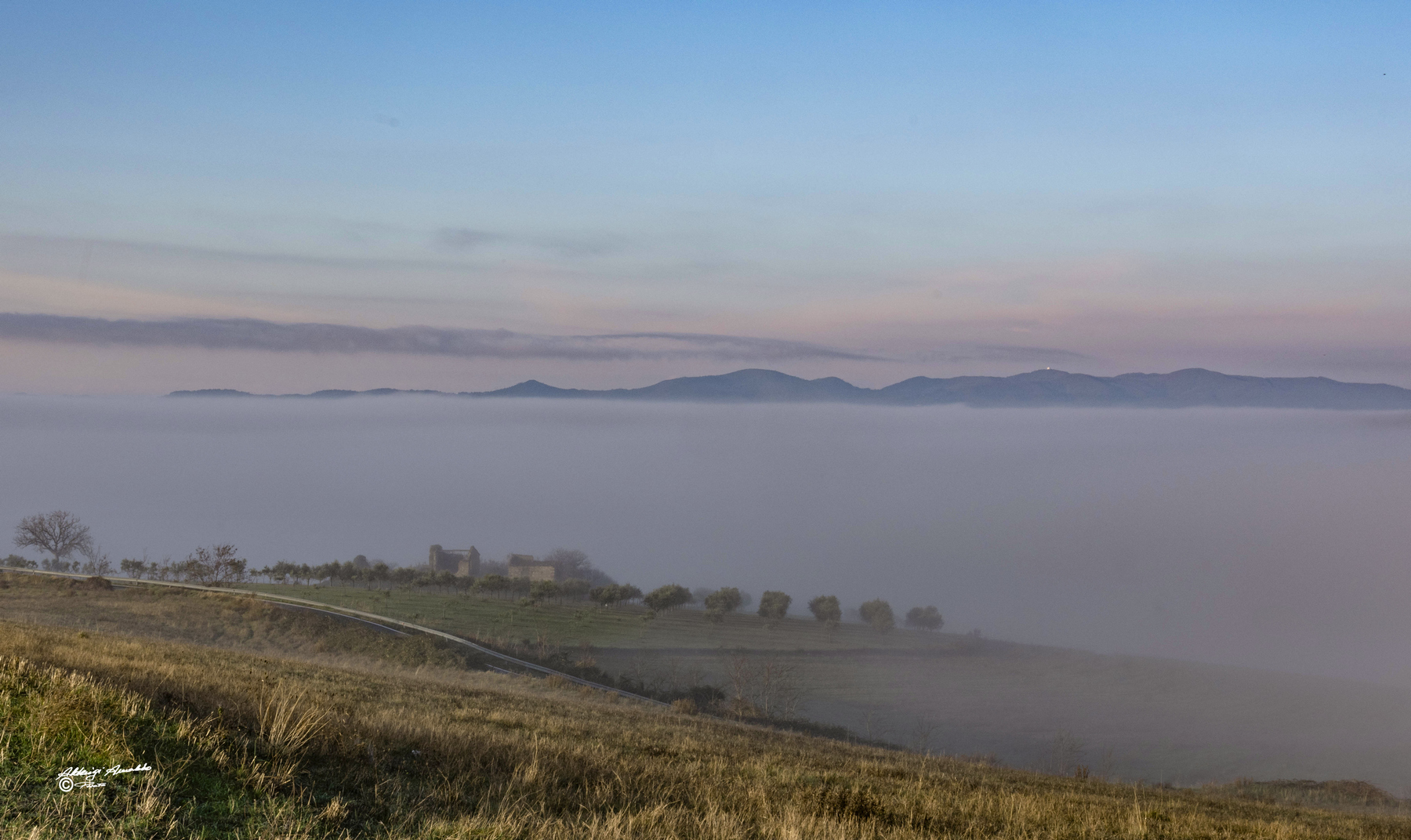Alba&Nebbia nella collina...1