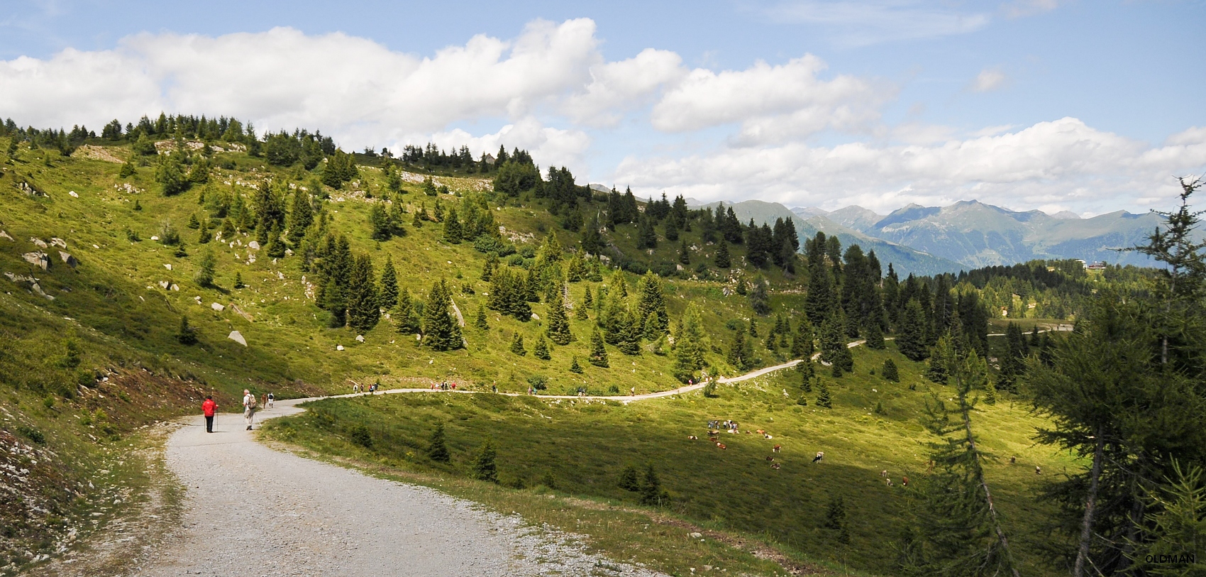 �Rifugio Orso Bruno