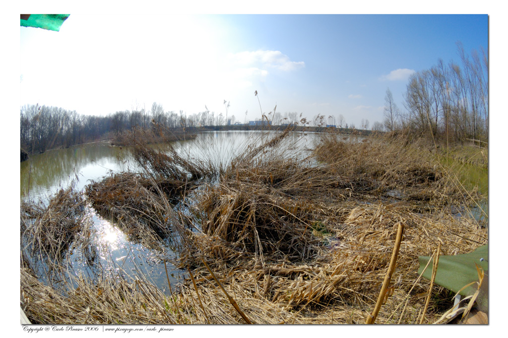 Torrile: vista dal capanno