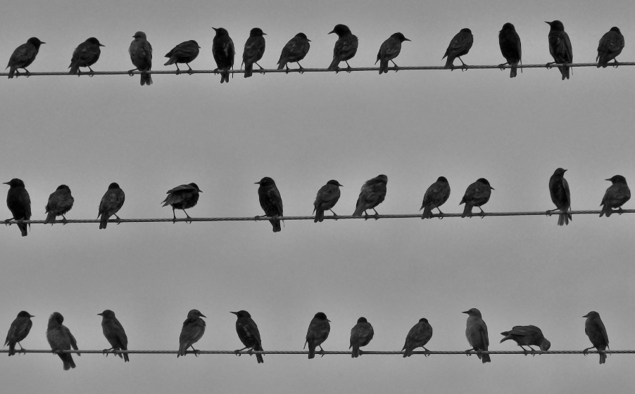 riunione di condominio