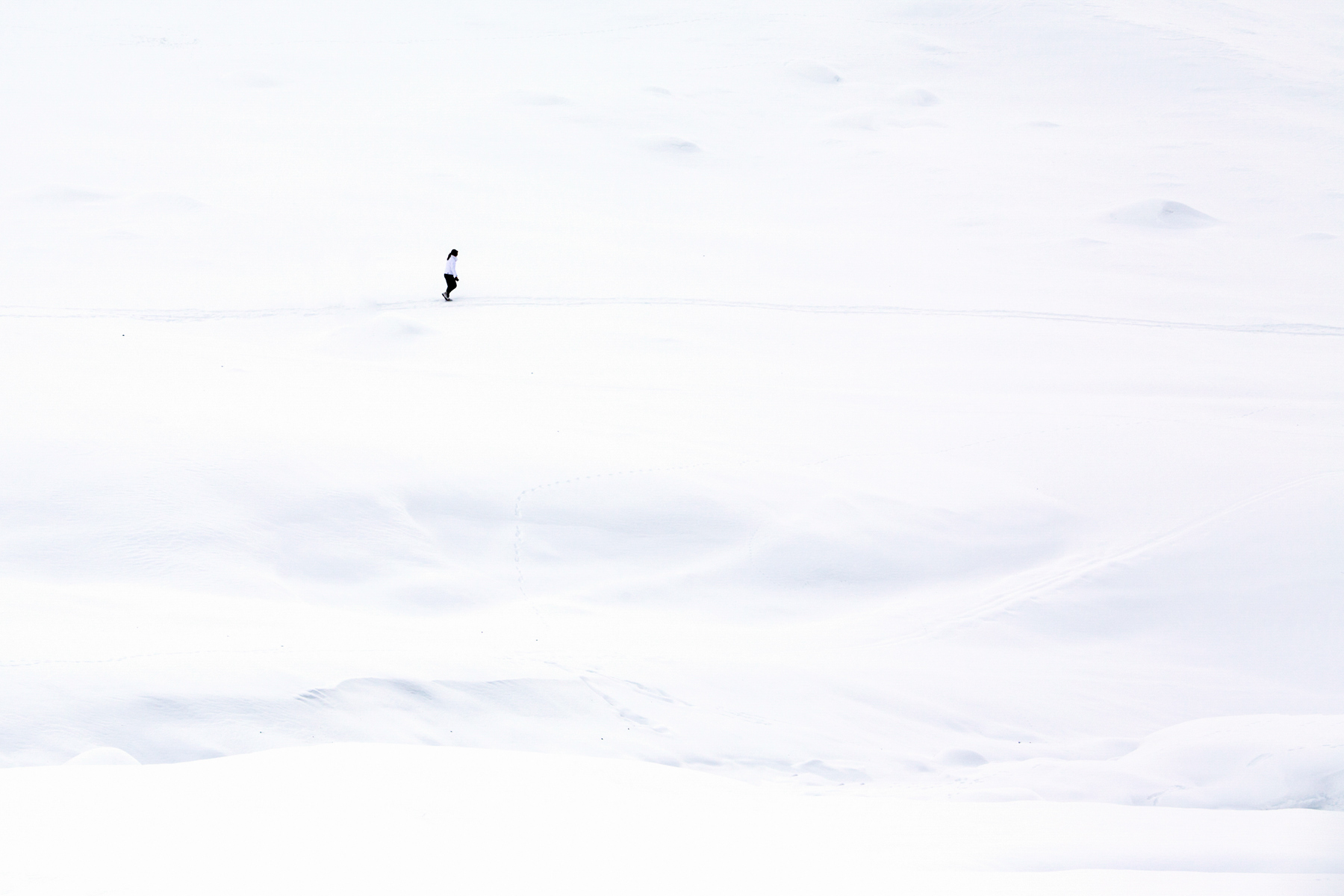 Passeggiando su un mare di neve