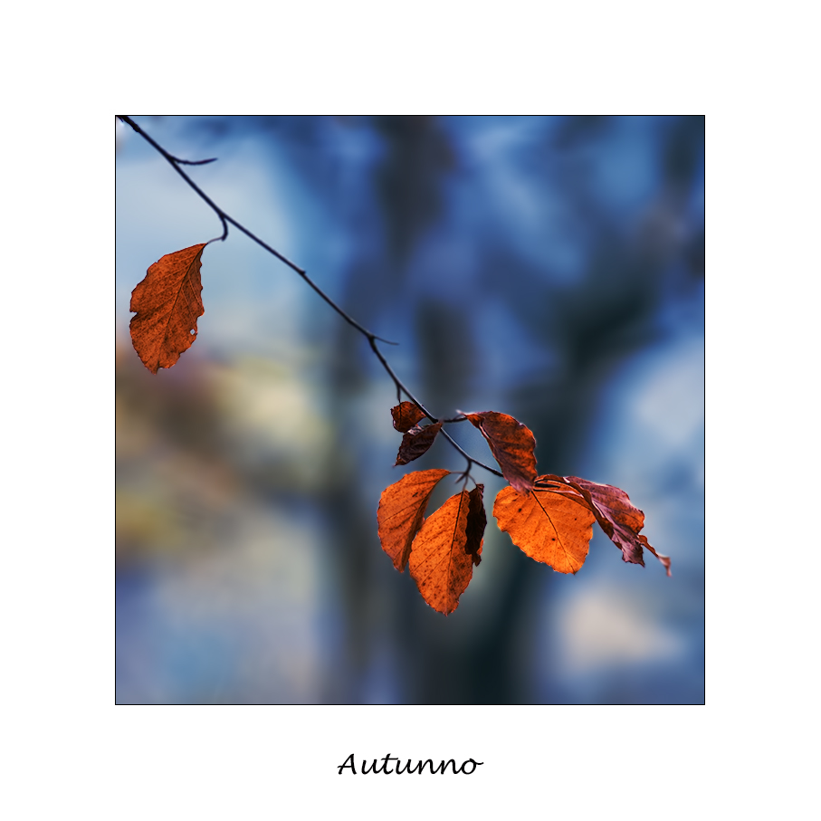 Autunno