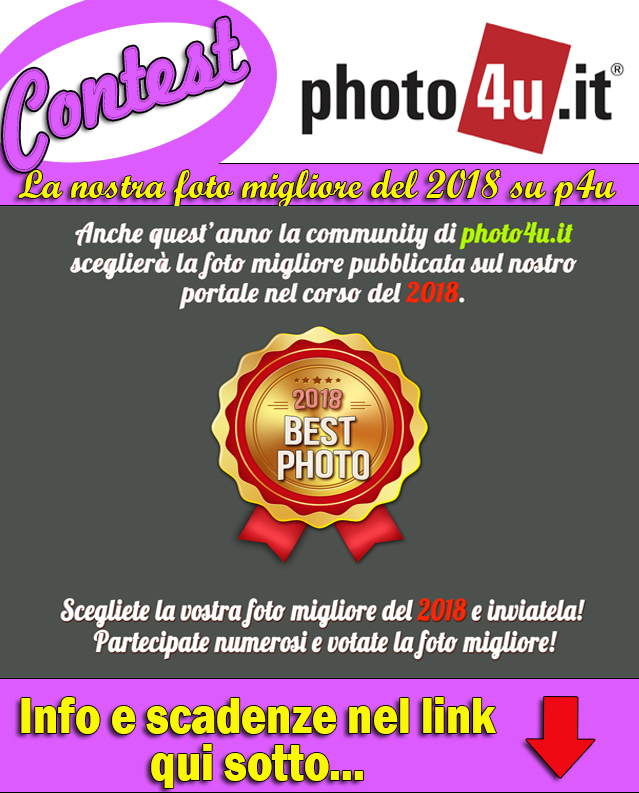 Contest La nostra foto migliore del 2018