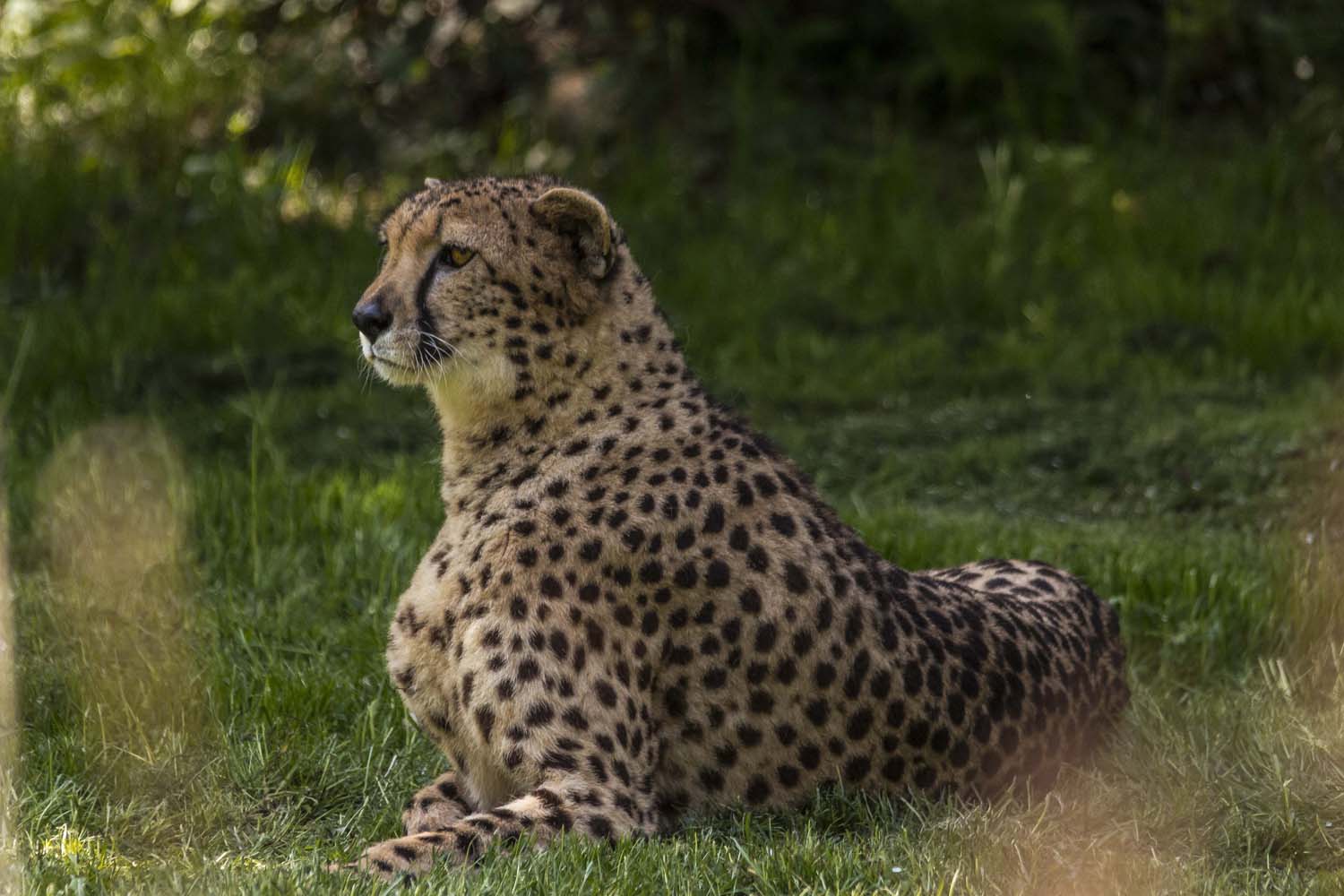 una ragazza difficile