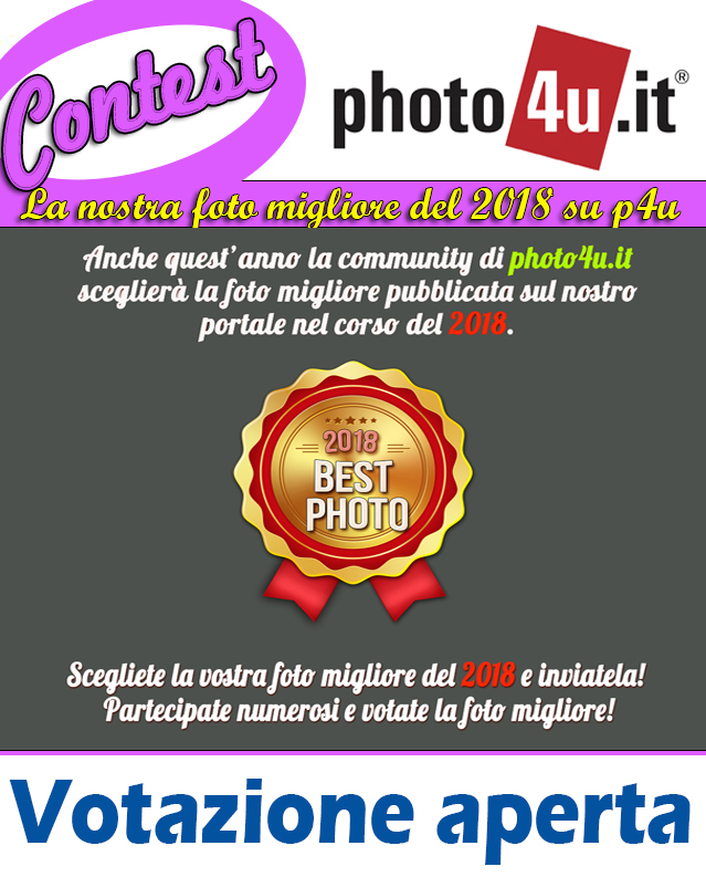 La nostra foto migliore del 2018 - Votazione
