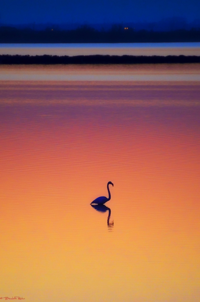 oltre l'immagine.....