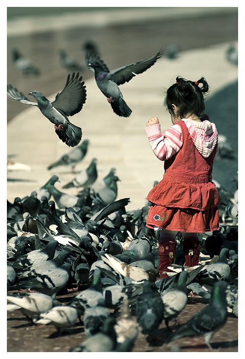 Pla�a Catalunya | Barcelona