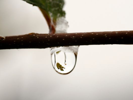 riflesso nella goccia