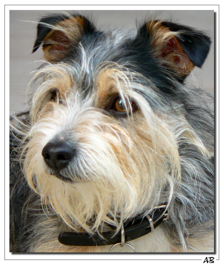 fresco di parrucchiere...