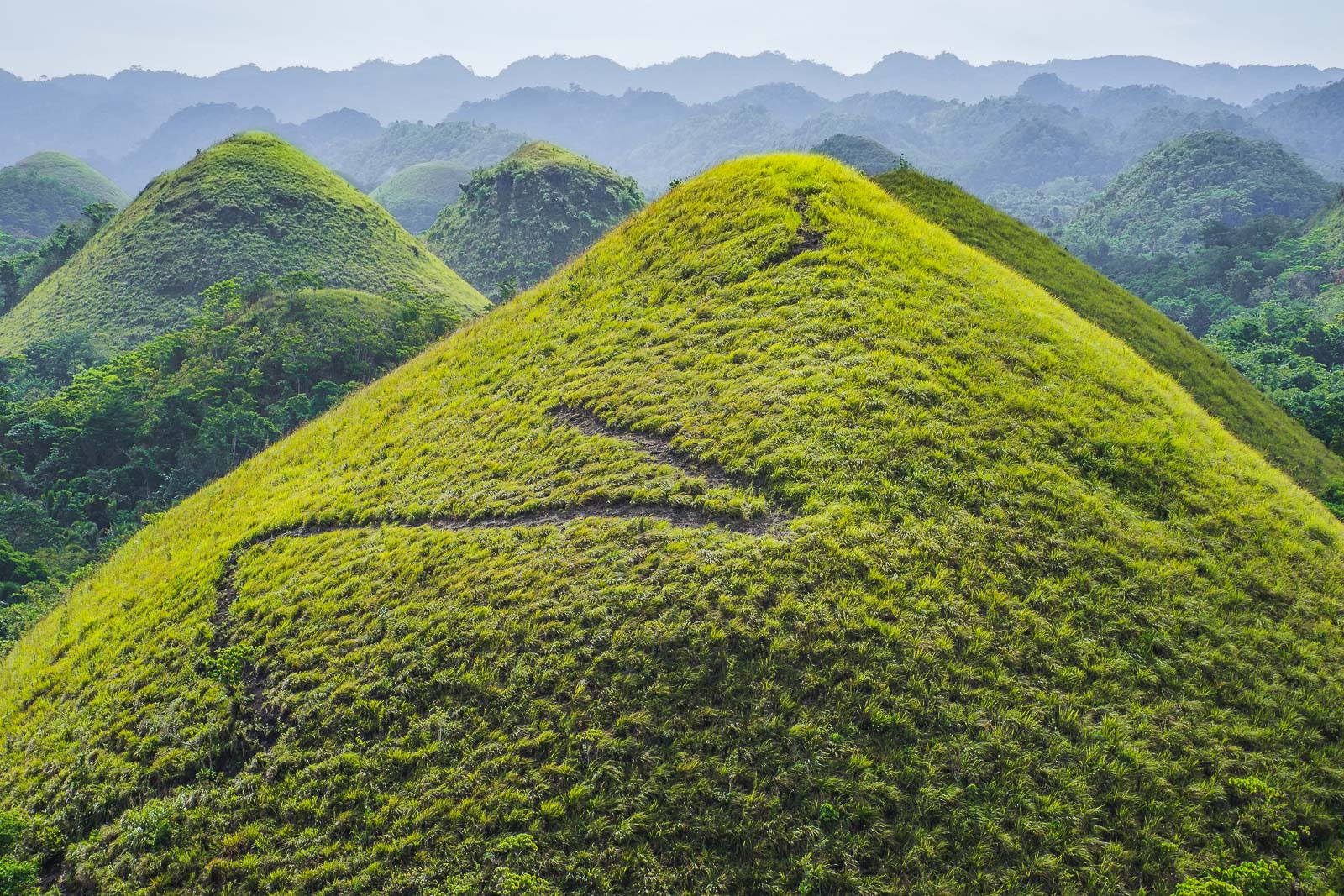 Chocolate Hills Filippine