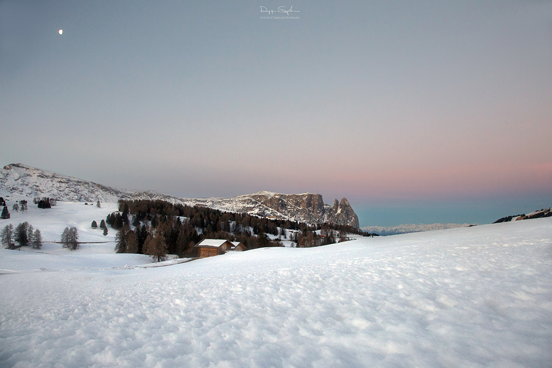 La dolcezza e la freschezza dell'alba