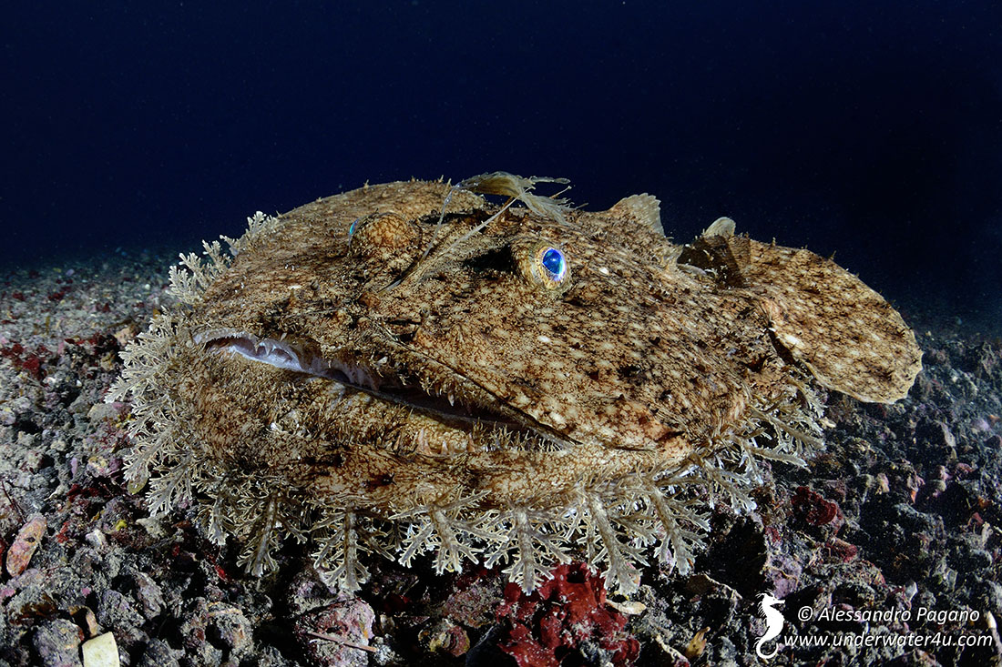 Lasciate ogni speranza o voi che entrate