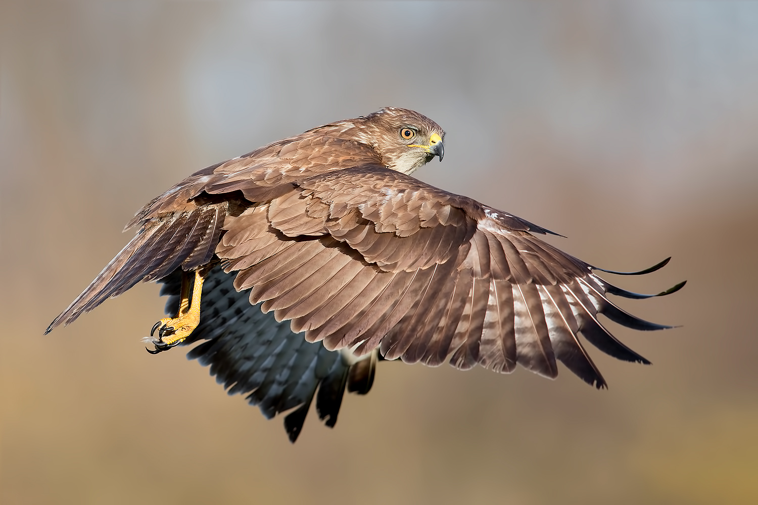 Passaggio a Nord Ovest