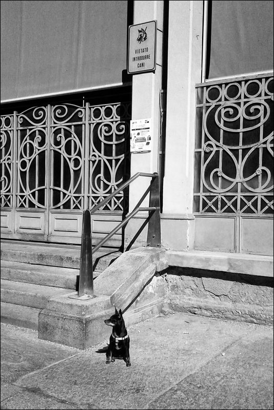 Esuberante personalit�