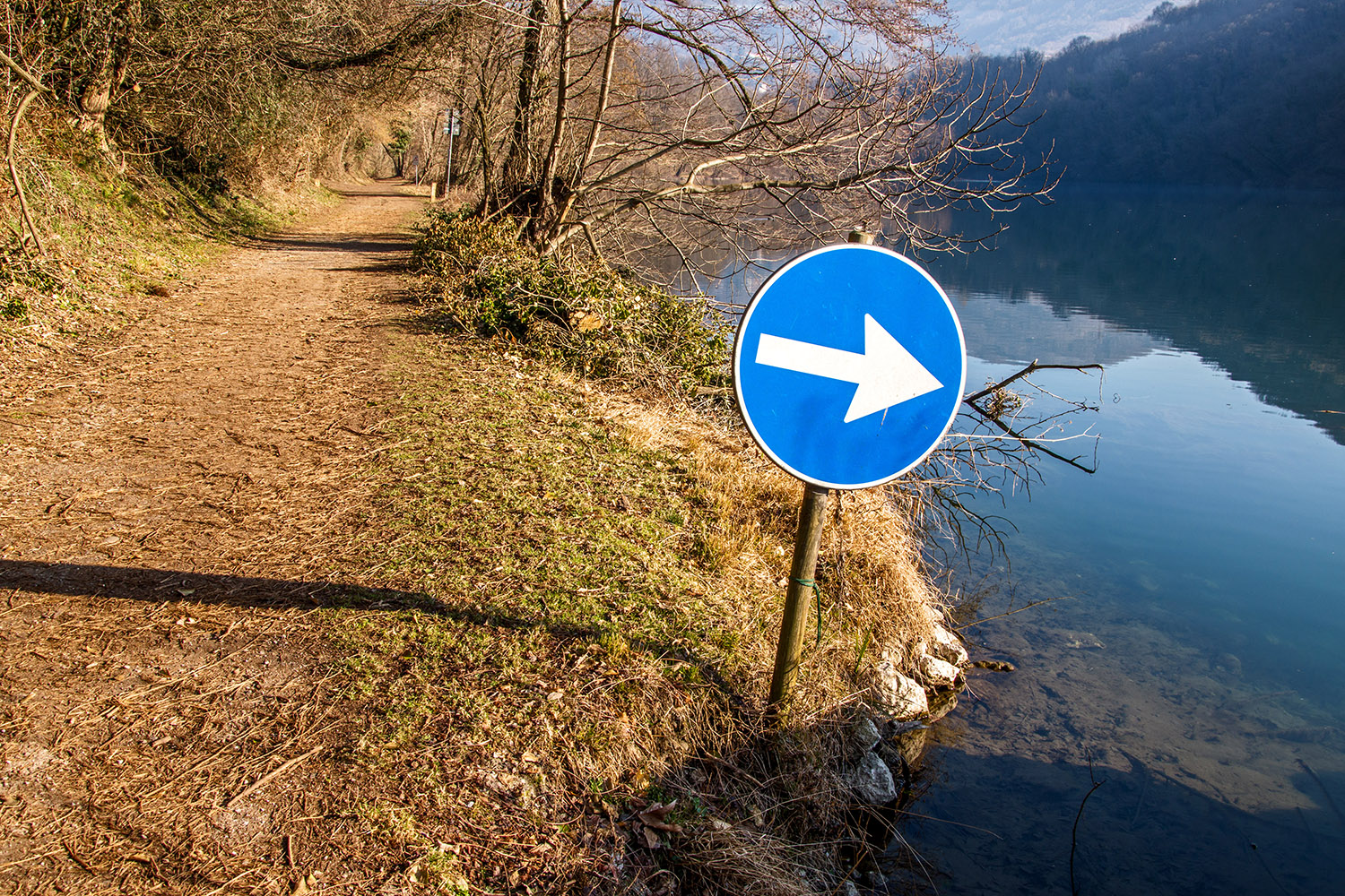 direzione obbligatoria ?