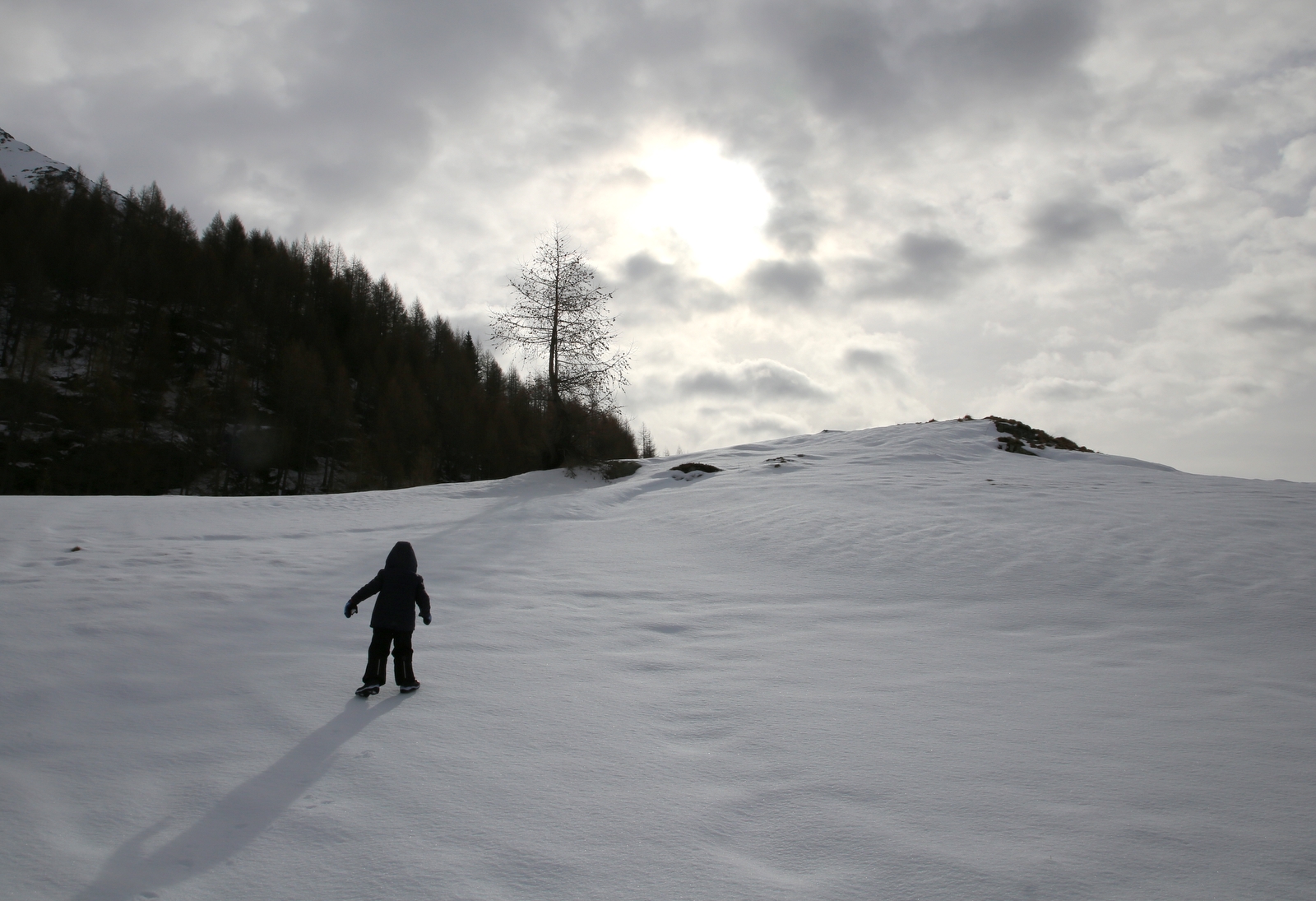 L'ABOMINEVOLE BIMBO DELLE NEVI
