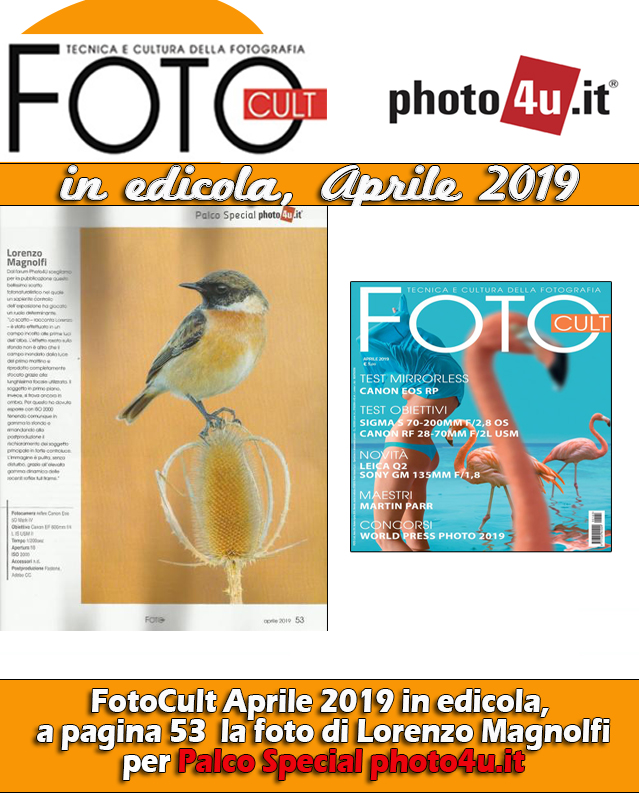 FotoCult Aprile 2019