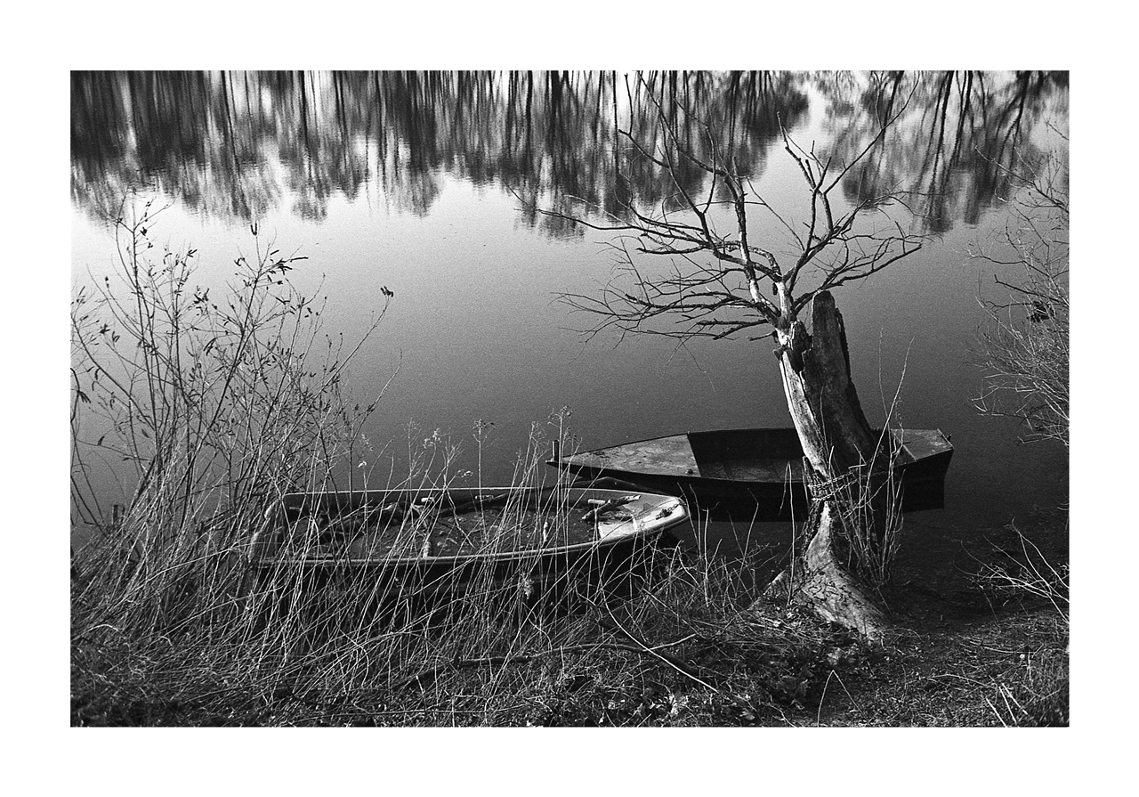 country feedback ;/)