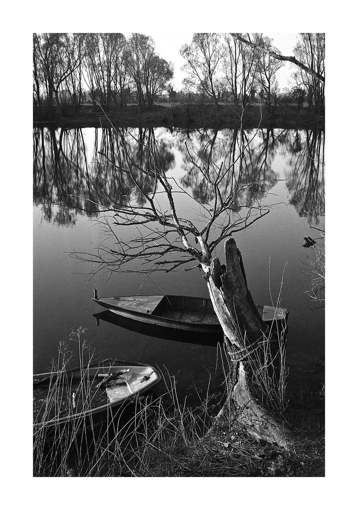 country feedback ⁴ ;/)