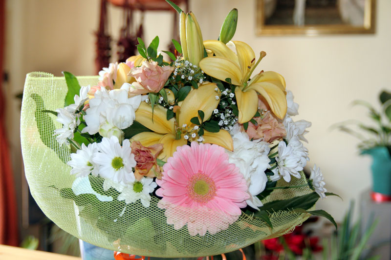 Grazie a i vostri consigli sto migliorando