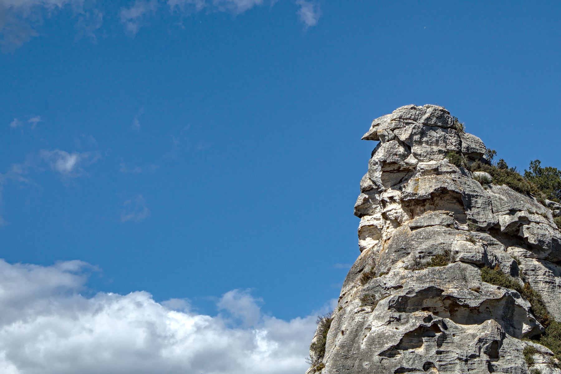 L'agguato dell'aquila