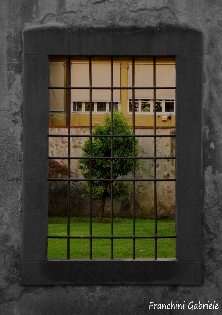 La finestra sul cortile