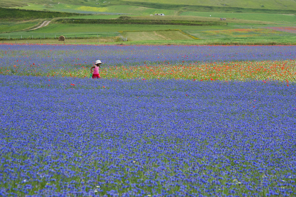 Castelluccio di Norcia...