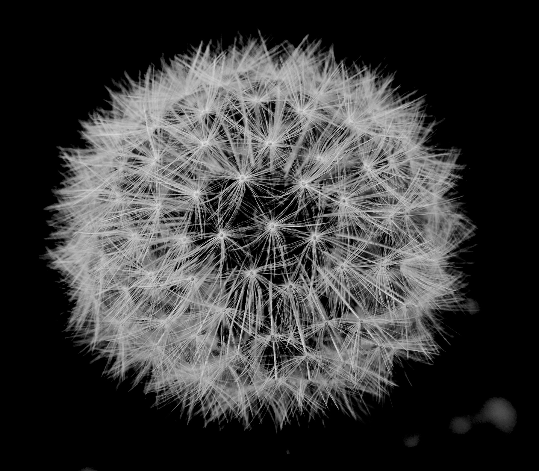 Fuochi artificiali......naturali