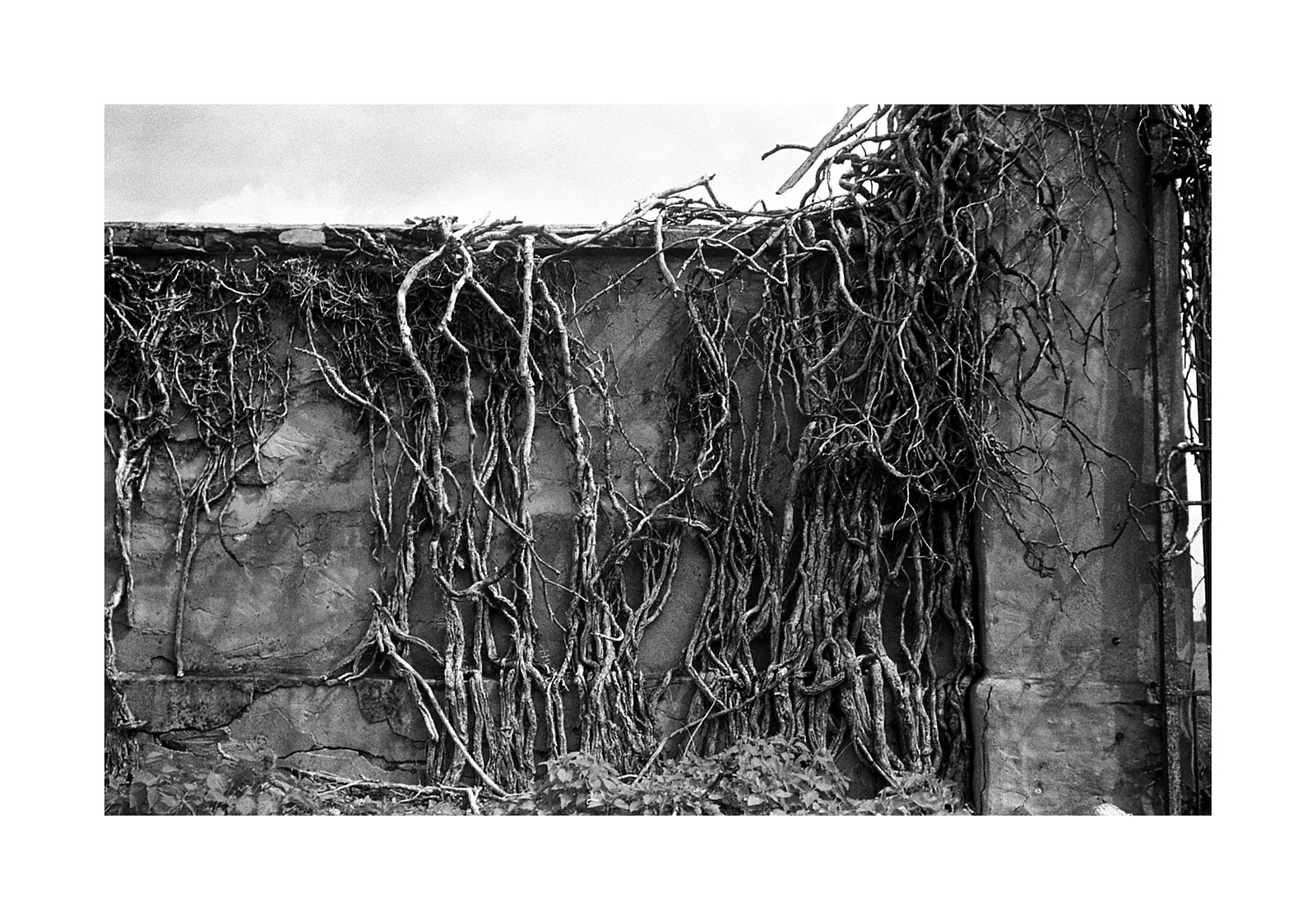 qua e l� tra le fessure ;/)