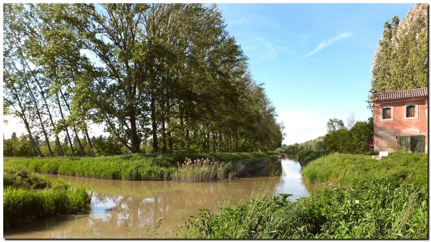 poltrona prima fila.....