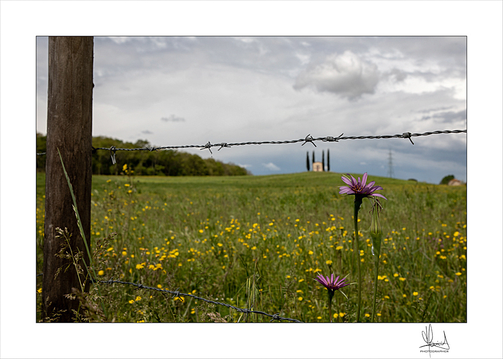 Primavera sul Chiesino di Vitaleta  Ponsacco (PI)