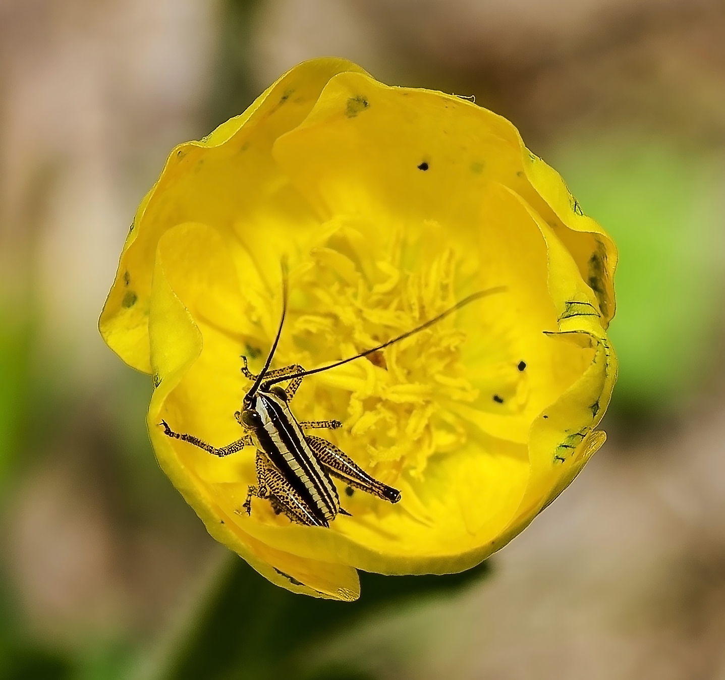 Stessa casa...altro inquilino