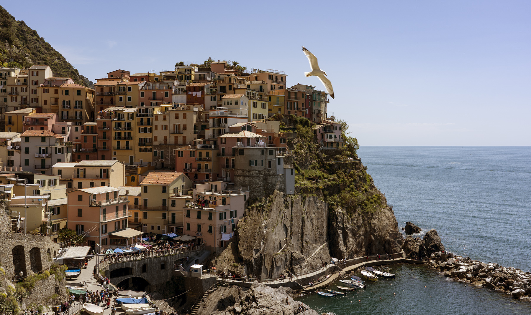 Manarola