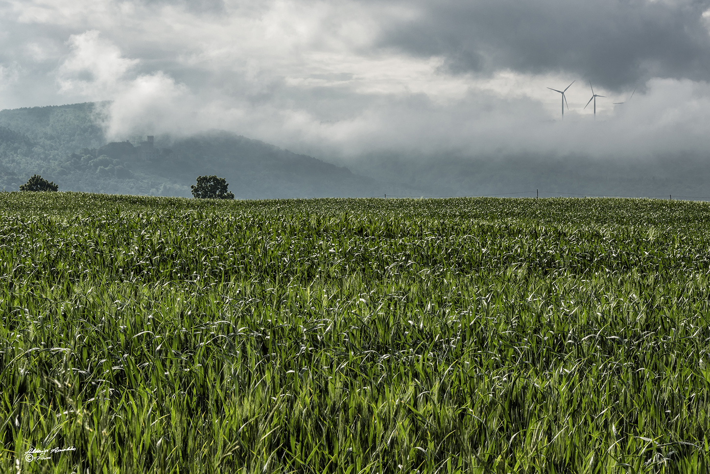I campi ..ed il cielo..