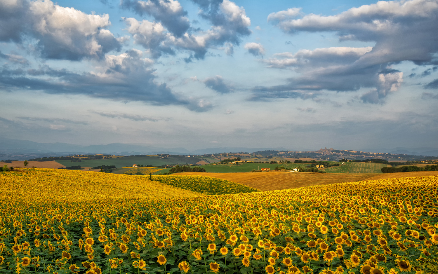 Aspettando la bella stagione