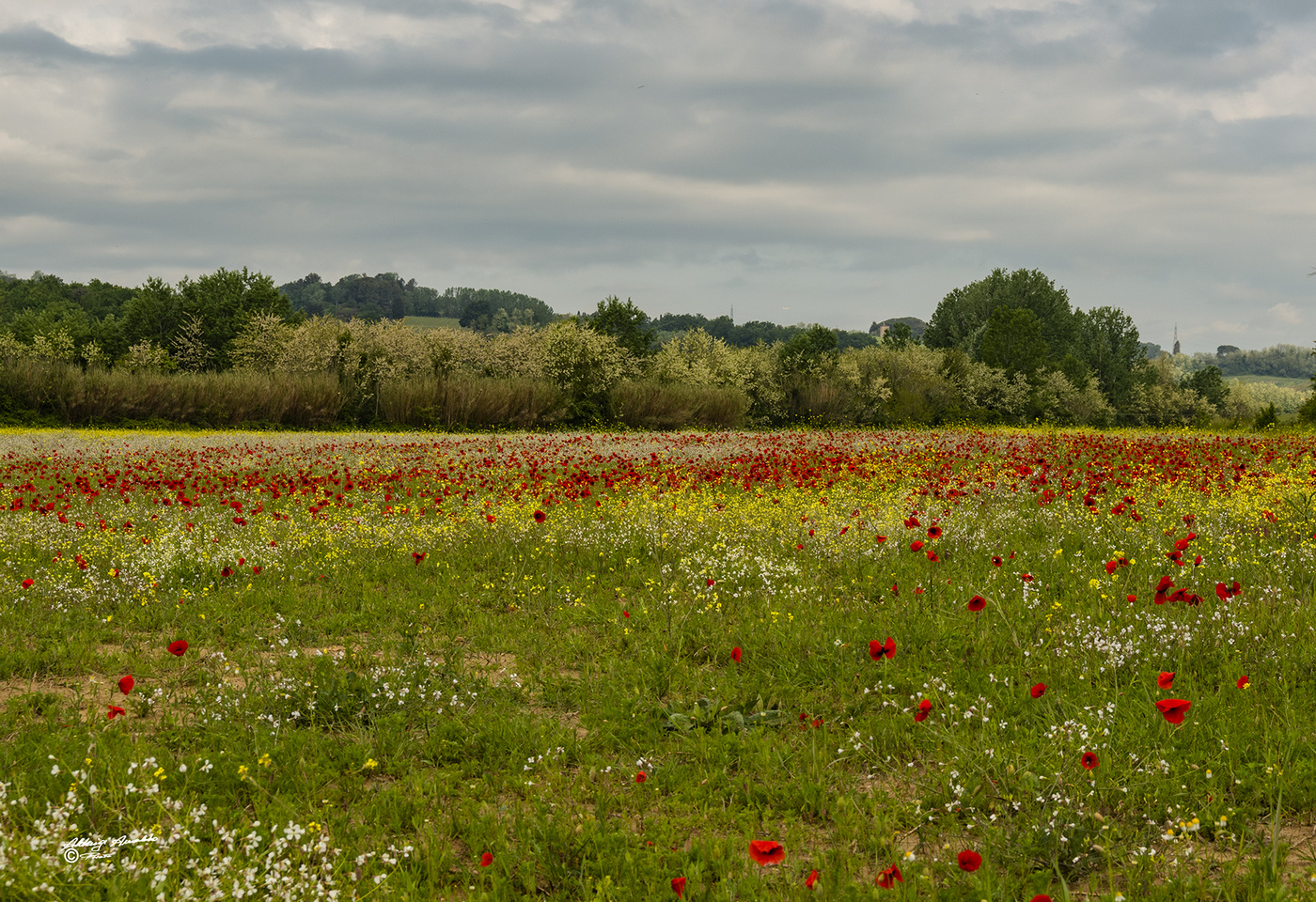 La campagna ed i suoi colori..