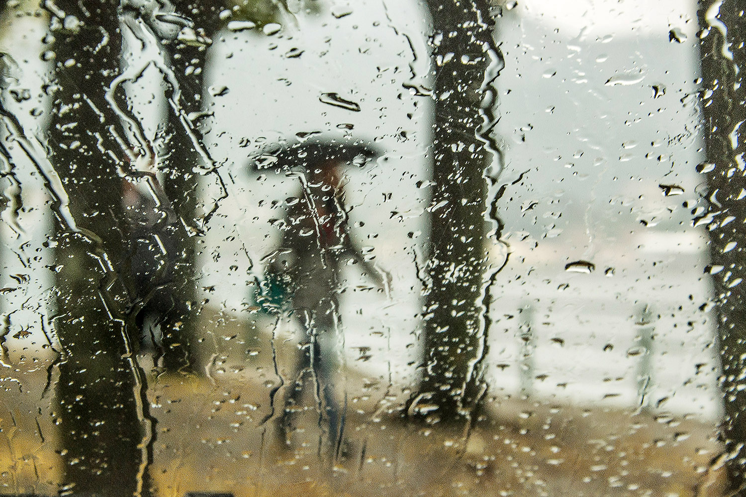 una bizzarra primavera