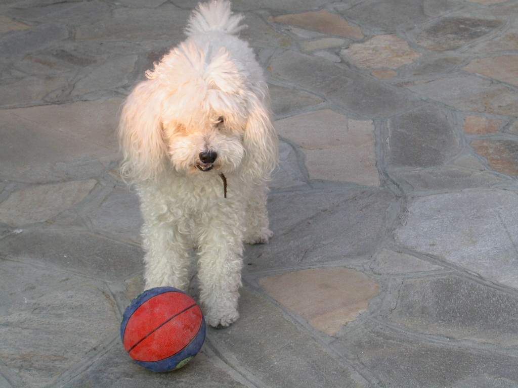 Rigore...dagli 11 metri