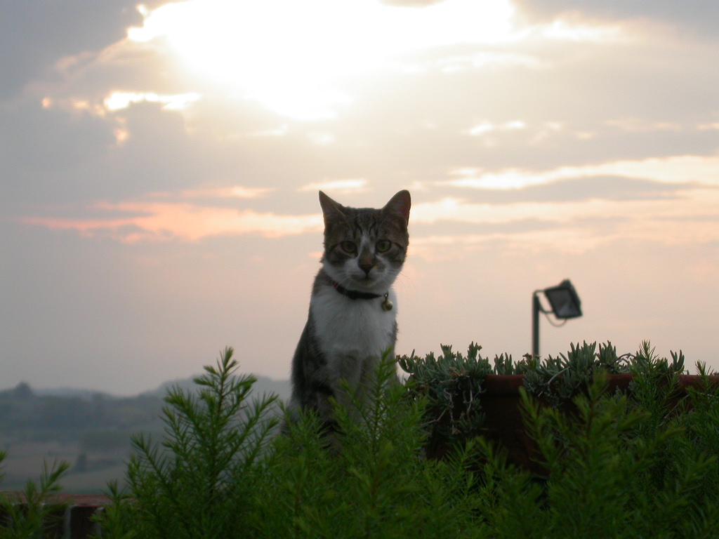 Aspettando la pappa....