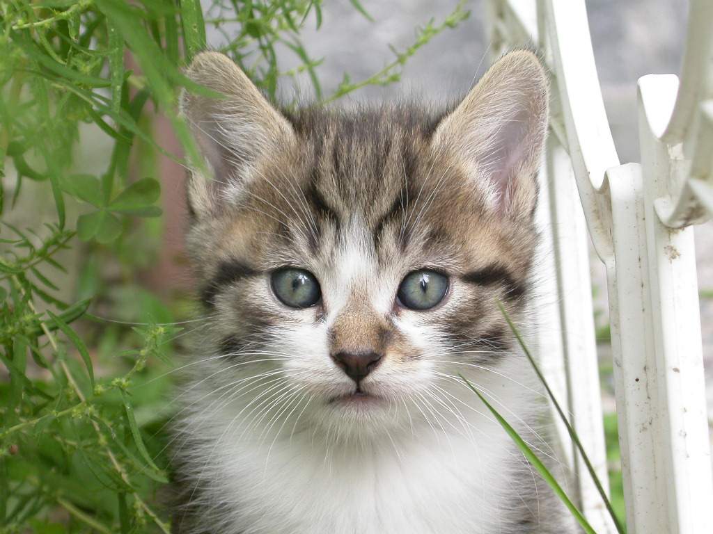 Eccomi qua...che vuoi?