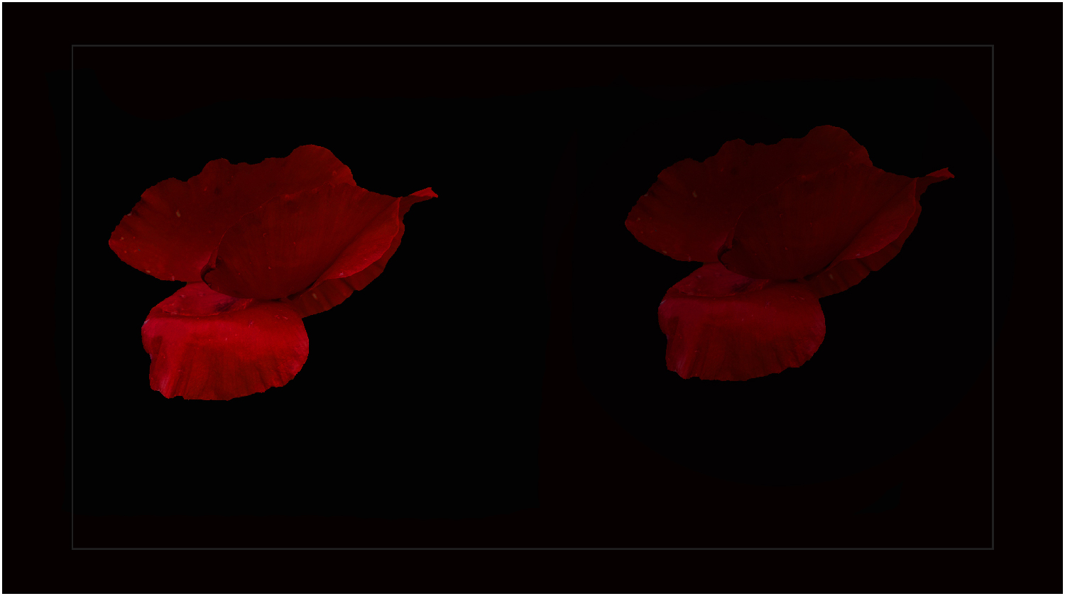 Divertimento  photoshop.