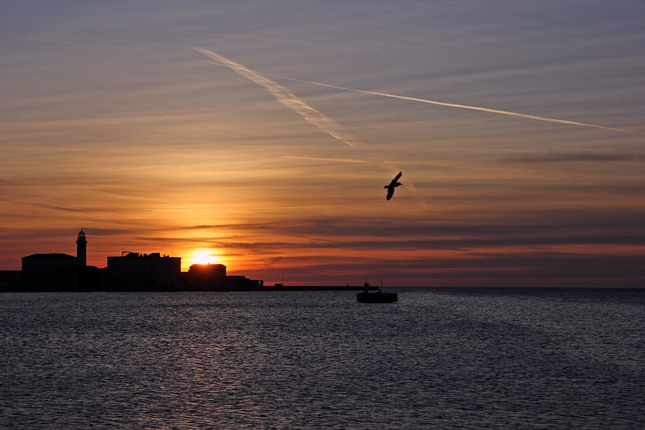 Trieste img.023