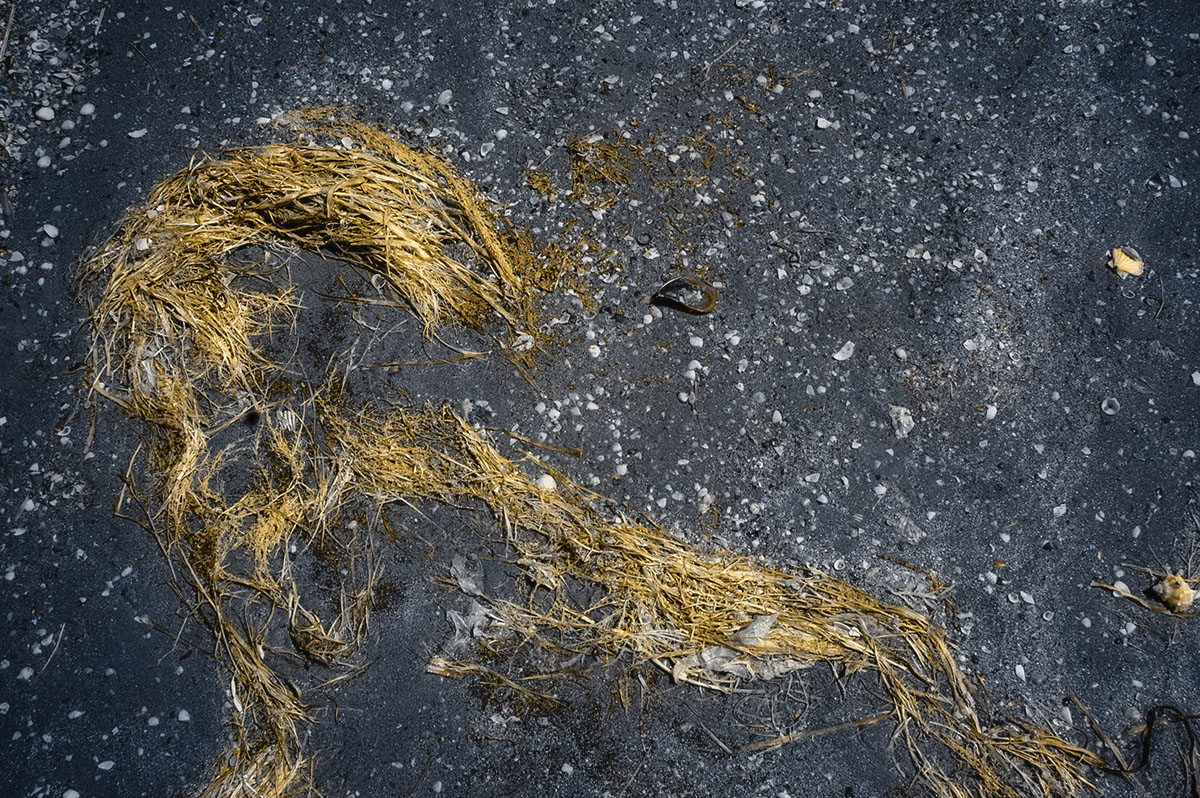 Un giorno in spiaggia