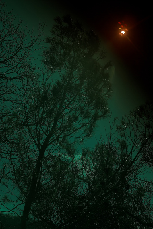 eclise solare , altra prova