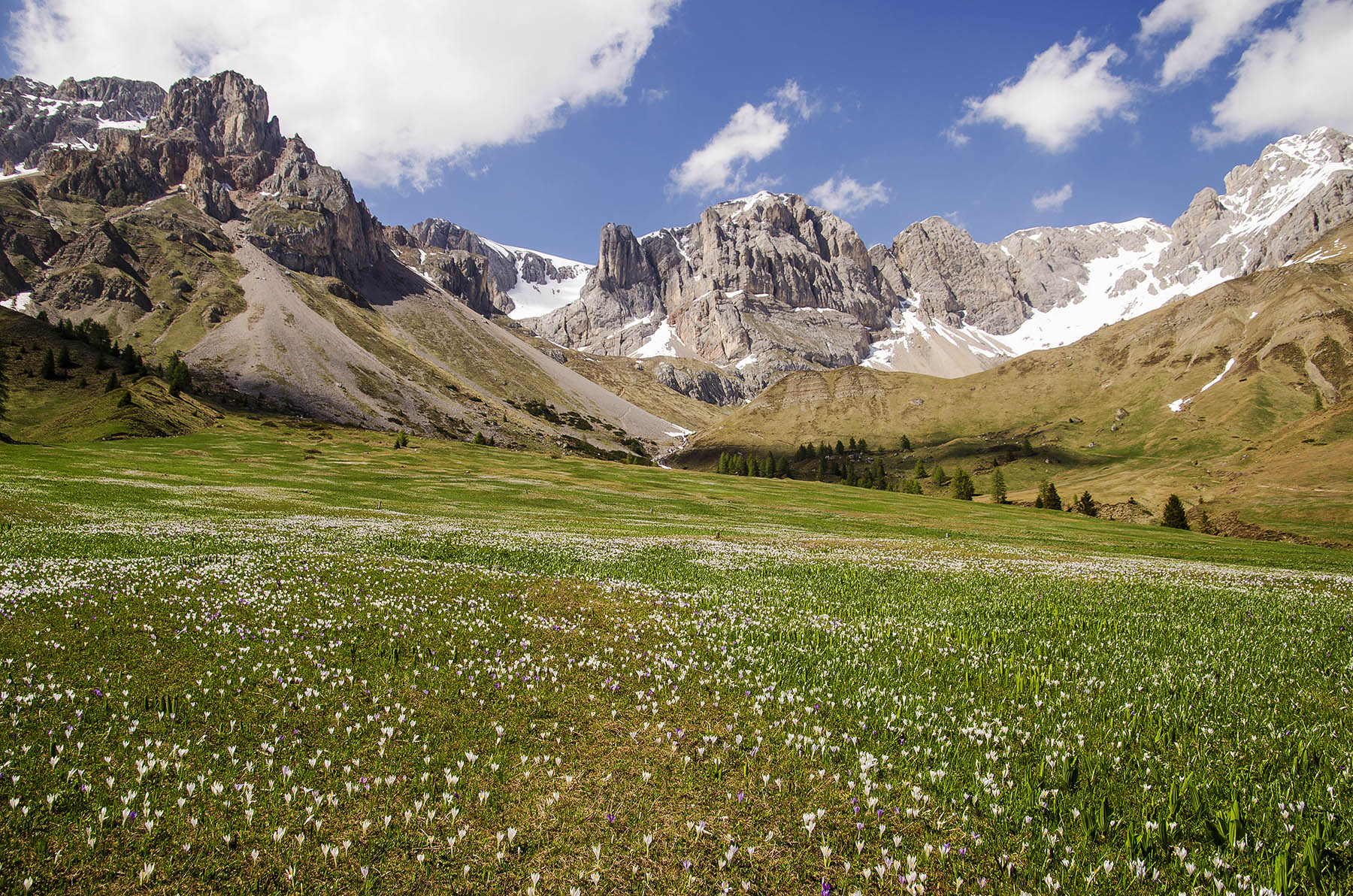 L'arrivo della primavera.