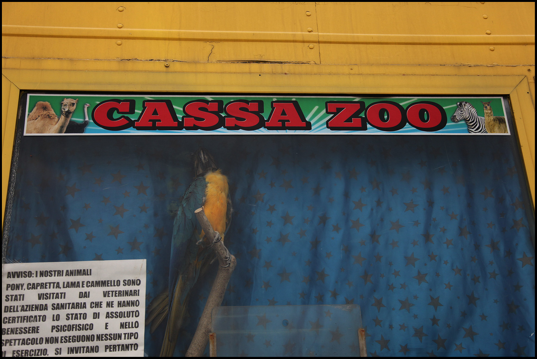 ASSOLUTO BENESSERE PSICOFISICO...