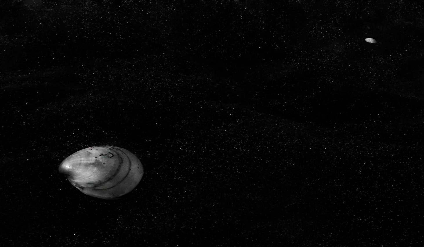 cercarsi nell' oltre