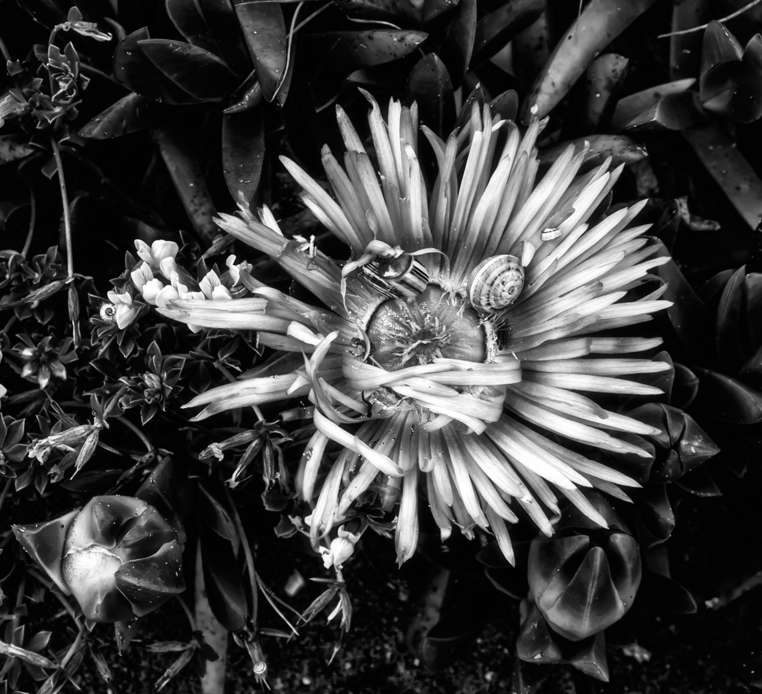 difendersi dall' aggressione